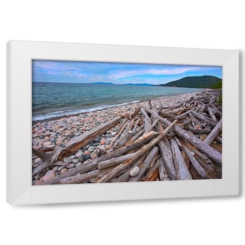 Canada-Ontario-Marathon Rocks and driftwood on Pebble Lake Superiors Beach White Modern Wood Framed Art Print by Jaynes Gallery