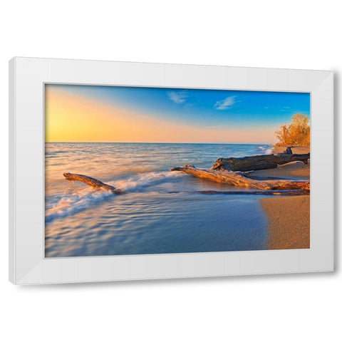Canada-Ontario-Point Pelee National Park Driftwood on Lake Erie shoreline at sunrise White Modern Wood Framed Art Print by Jaynes Gallery