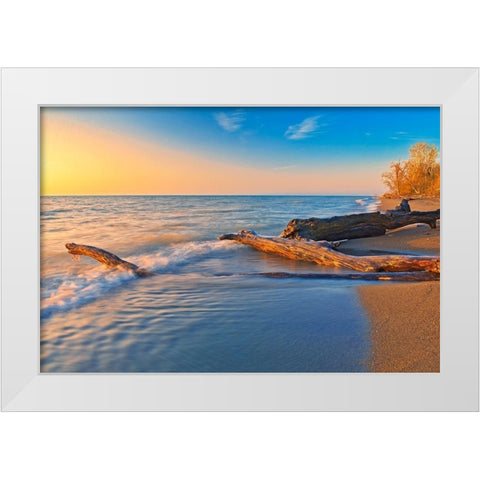 Canada-Ontario-Point Pelee National Park Driftwood on Lake Erie shoreline at sunrise White Modern Wood Framed Art Print by Jaynes Gallery