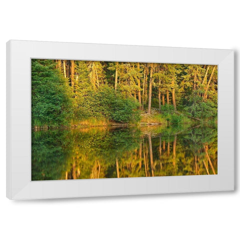 Canada-Ontario Sunset on forest reflected in lake White Modern Wood Framed Art Print by Jaynes Gallery