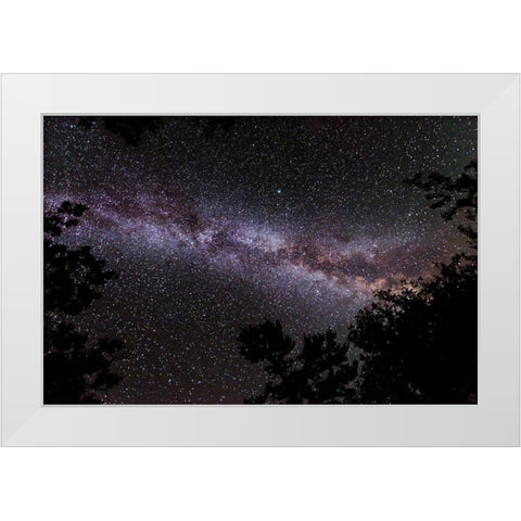 Canada-Ontario-Sioux Narrows Provincial Park-Night sky with Milky Way White Modern Wood Framed Art Print by Jaynes Gallery