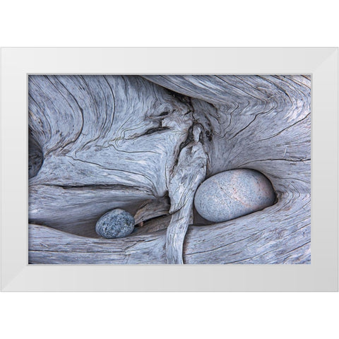 Canada-Ontario-Marathon Rocks in driftwood on Pebble Beach White Modern Wood Framed Art Print by Jaynes Gallery