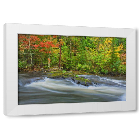 Canada-Ontario Berry Creek landscape White Modern Wood Framed Art Print by Jaynes Gallery