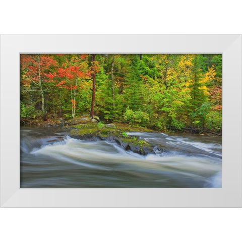 Canada-Ontario Berry Creek landscape White Modern Wood Framed Art Print by Jaynes Gallery