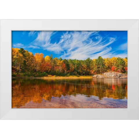 Canada-Ontario-Chutes Provincial Park Reflection on the Aux Sables River in autumn White Modern Wood Framed Art Print by Jaynes Gallery