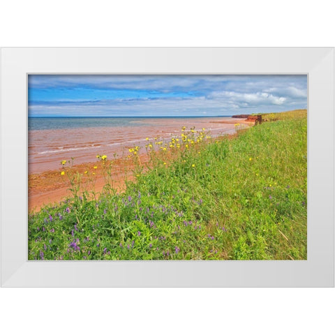 Canada-Prince Edward Island-Skinners Pond Red sandstone beach on Northumberland Strait White Modern Wood Framed Art Print by Jaynes Gallery