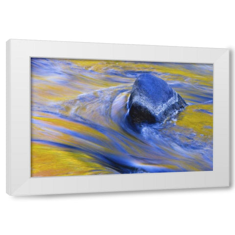 Canada, Quebec Fall colors reflecting on a river White Modern Wood Framed Art Print by Delisle, Gilles