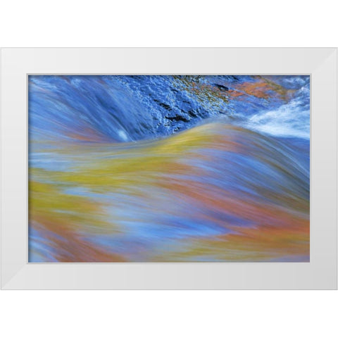 Canada, Quebec Autumn along Riviere du Nord White Modern Wood Framed Art Print by Delisle, Gilles