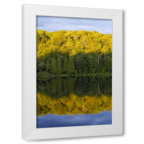 Canada, Quebec, Sunset on Lake Long Pond White Modern Wood Framed Art Print by Delisle, Gilles