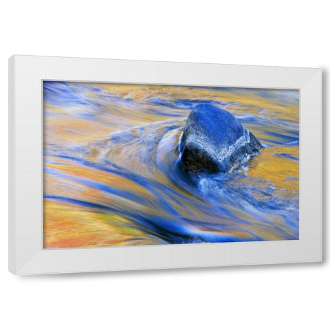 Canada, Quebec Autumn along Riviere du Nord White Modern Wood Framed Art Print by Delisle, Gilles