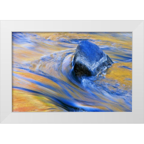 Canada, Quebec Autumn along Riviere du Nord White Modern Wood Framed Art Print by Delisle, Gilles