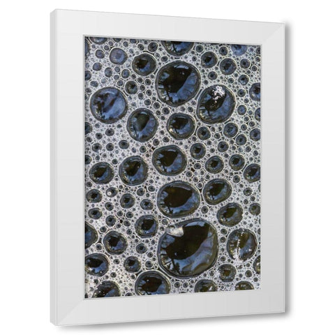 Canada, Quebec Foam caught under ice White Modern Wood Framed Art Print by Delisle, Gilles