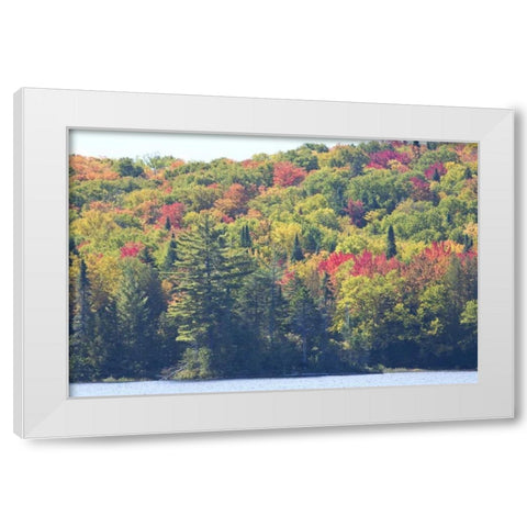 Canada, Quebec Fall colors along Lake Monroe White Modern Wood Framed Art Print by Delisle, Gilles