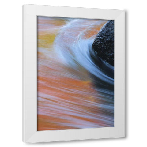 Canada, Quebec Autumn along Riviere du Nord White Modern Wood Framed Art Print by Delisle, Gilles