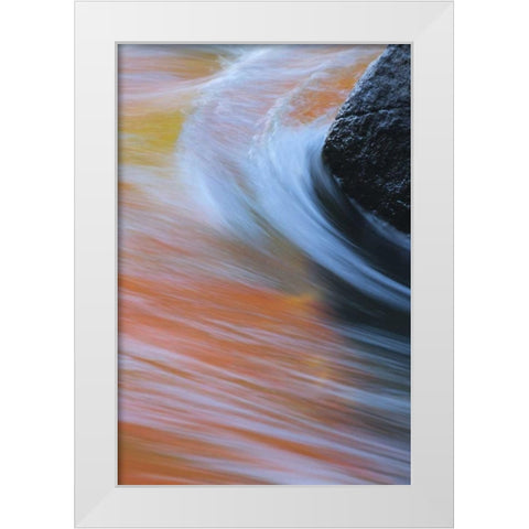 Canada, Quebec Autumn along Riviere du Nord White Modern Wood Framed Art Print by Delisle, Gilles