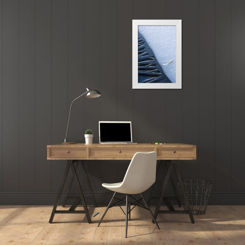 Canada, Quebec, Lakeshore ice White Modern Wood Framed Art Print by Delisle, Gilles