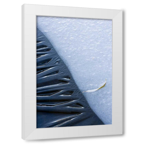 Canada, Quebec, Lakeshore ice White Modern Wood Framed Art Print by Delisle, Gilles