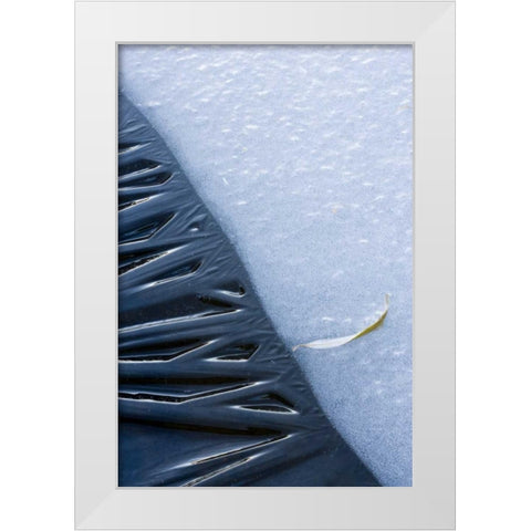 Canada, Quebec, Lakeshore ice White Modern Wood Framed Art Print by Delisle, Gilles