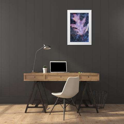 Canada, Quebec, Red oak leaf under lake ice White Modern Wood Framed Art Print by Delisle, Gilles