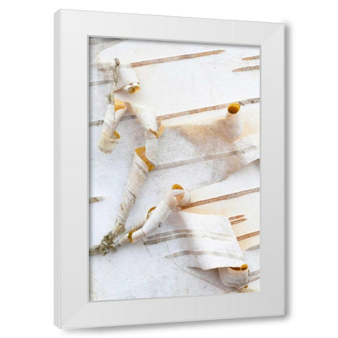 Canada, Mt St-Bruno Park White birch bark detail White Modern Wood Framed Art Print by Delisle, Gilles