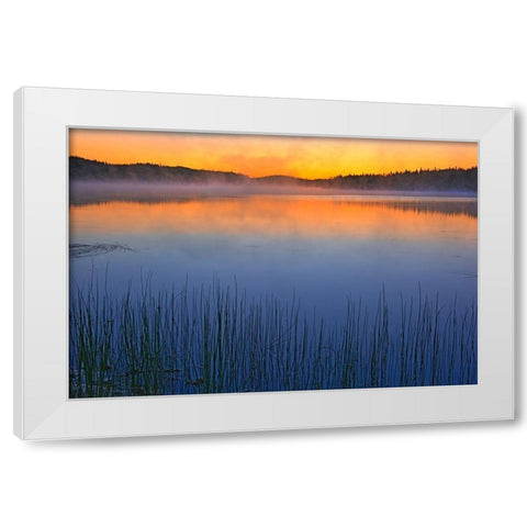 Canada-Quebec-Chibougamau Fog over Lac Sauvage at dawn White Modern Wood Framed Art Print by Jaynes Gallery