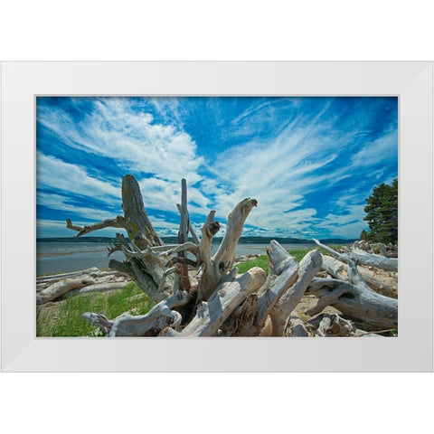 Canada-Quebec-Forillon National Park Driftwood along La Plage de Penouille White Modern Wood Framed Art Print by Jaynes Gallery