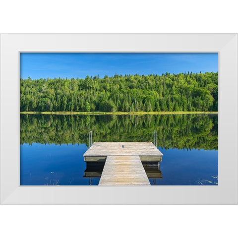 Canada-Quebec-La Mauricie National Park Tree reflection and dock in Lac Modene White Modern Wood Framed Art Print by Jaynes Gallery