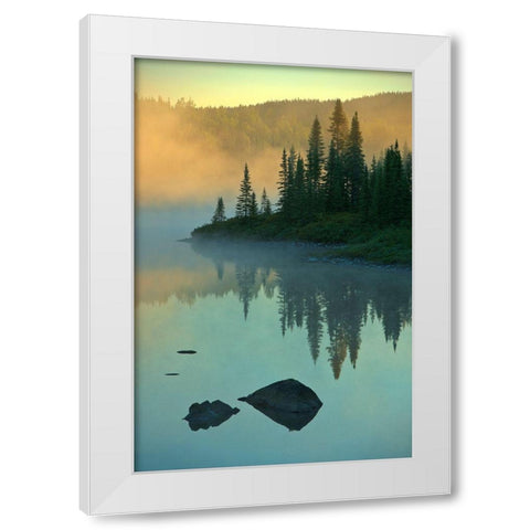 Canada-Quebec-Chibougamau Lake in fog at sunrise White Modern Wood Framed Art Print by Jaynes Gallery