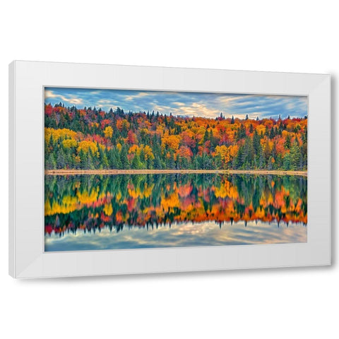 Canada-Quebec-La Mauricie National Park Autumn colors reflected in Lac Modene White Modern Wood Framed Art Print by Jaynes Gallery
