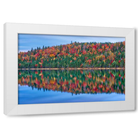 Canada-Quebec-La Mauricie National Park Autumn colors reflected in Lac Modene White Modern Wood Framed Art Print by Jaynes Gallery