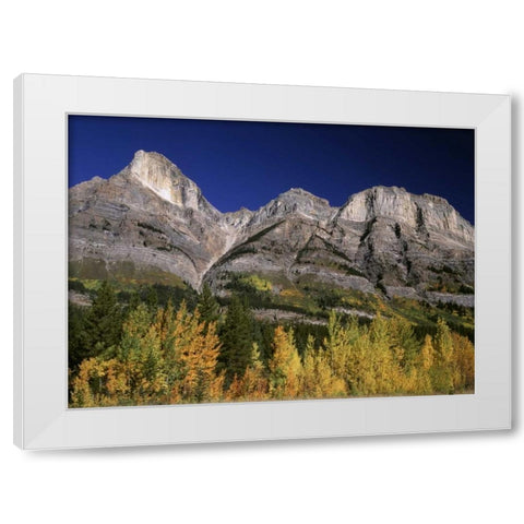 Canada, Saskatchewan, Banff NP White Modern Wood Framed Art Print by Grandmaison, Mike