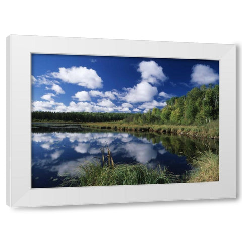 Canada, Saskatchewan,Prince Albert NP, Pond White Modern Wood Framed Art Print by Grandmaison, Mike