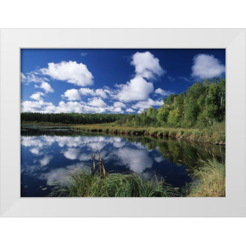Canada, Saskatchewan,Prince Albert NP, Pond White Modern Wood Framed Art Print by Grandmaison, Mike
