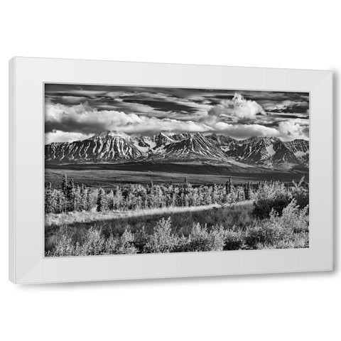 Canada-Yukon-Haines Junction St Elias Mountains landscape White Modern Wood Framed Art Print by Jaynes Gallery
