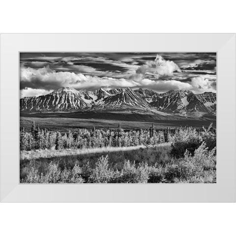 Canada-Yukon-Haines Junction St Elias Mountains landscape White Modern Wood Framed Art Print by Jaynes Gallery