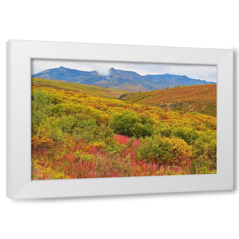 Canada-Yukon Autumn-colored hills and fog White Modern Wood Framed Art Print by Jaynes Gallery