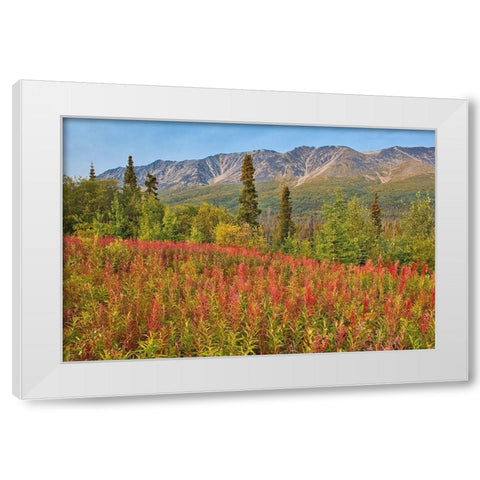 Canada-Yukon-Kluane National Park St Elias Mountains and forest landscape White Modern Wood Framed Art Print by Jaynes Gallery