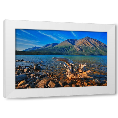 Canada-Yukon-Kluane National Park St Elias Mountains and driftwood on shore of Kathleen Lake White Modern Wood Framed Art Print by Jaynes Gallery