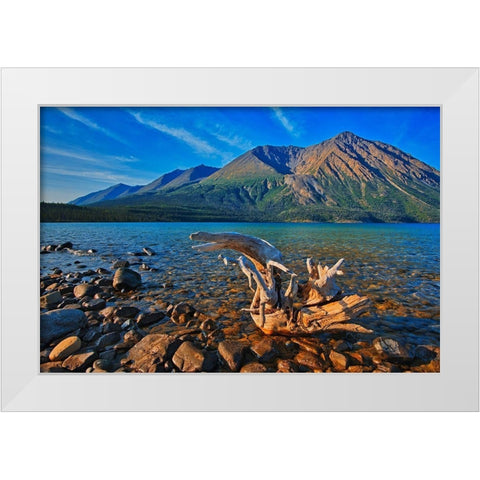 Canada-Yukon-Kluane National Park St Elias Mountains and driftwood on shore of Kathleen Lake White Modern Wood Framed Art Print by Jaynes Gallery