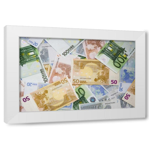 Montage of miscellaneous Euro currency White Modern Wood Framed Art Print by Flaherty, Dennis