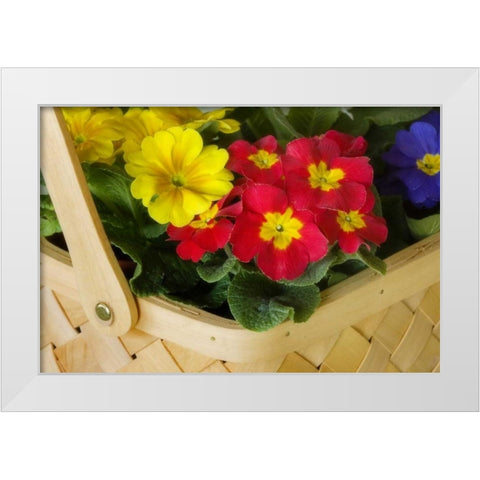 Detail of basket of flowers White Modern Wood Framed Art Print by Paulson, Don