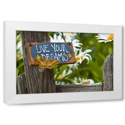 Moth on garden sign with daisies in background White Modern Wood Framed Art Print by Rotenberg, Nancy