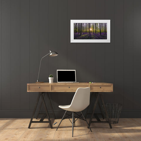 Europe-Belgium-Sunrise on Hallerbos forest with blooming bluebells White Modern Wood Framed Art Print by Jaynes Gallery