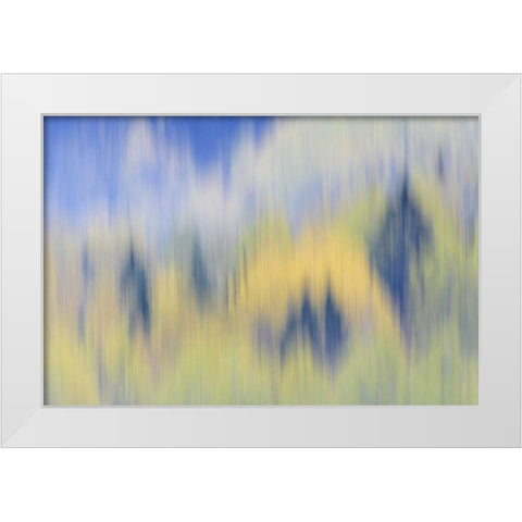 Finland, Nuuksio NP Abstract of fall color trees White Modern Wood Framed Art Print by Morris, Arthur