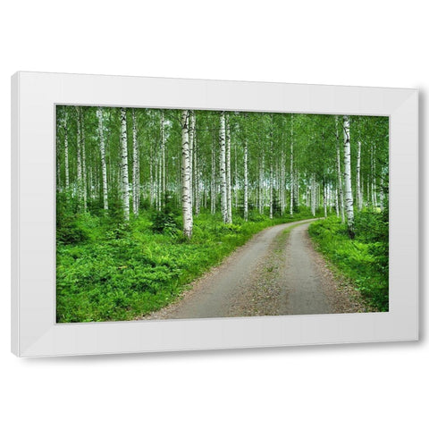Finlandia-Savonlinna-dirt road in a birches forest White Modern Wood Framed Art Print by Molinari, Michele