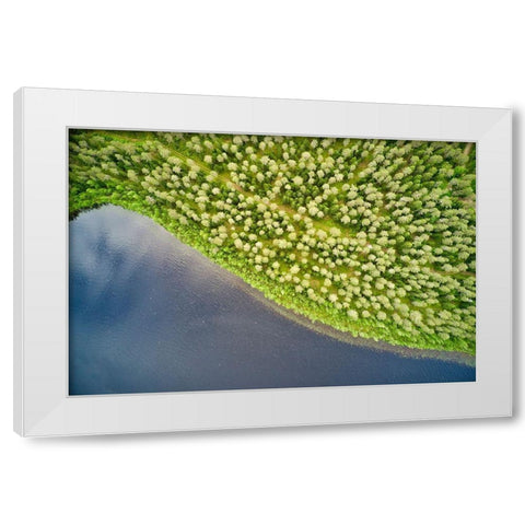 Finlandia-Savonlinna-aerial view-forest and lake White Modern Wood Framed Art Print by Molinari, Michele