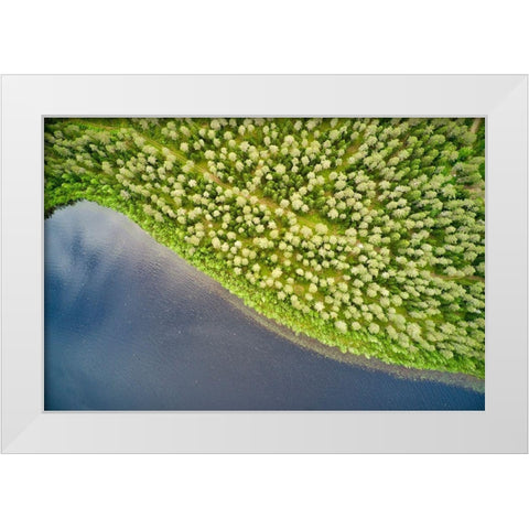 Finlandia-Savonlinna-aerial view-forest and lake White Modern Wood Framed Art Print by Molinari, Michele