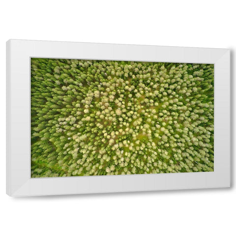 Finlandia-Savonlinna-aerial view White Modern Wood Framed Art Print by Molinari, Michele