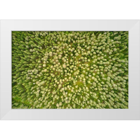 Finlandia-Savonlinna-aerial view White Modern Wood Framed Art Print by Molinari, Michele