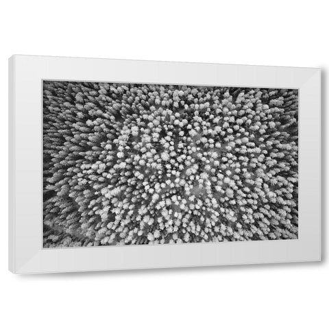 Finlandia-Savonlinna-aerial view White Modern Wood Framed Art Print by Molinari, Michele